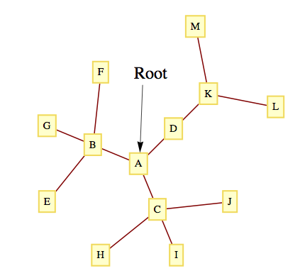 A graph as a rooted tree